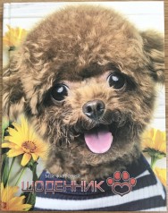 Щоденник шкільний SD1704, 165*208 мм, обкладинка 7БЦ, 40аркушів