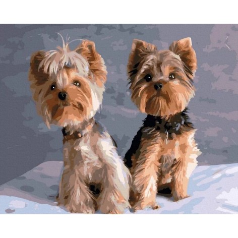 Картина за номерами 