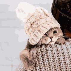 Картина за номерами 