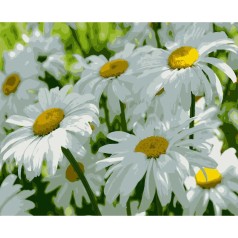 Картина за номерами 