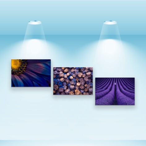 Набір постерів Riviera Blanca "Фіолетове макро" 3 шт на полотні 28x40 см (PS-034)