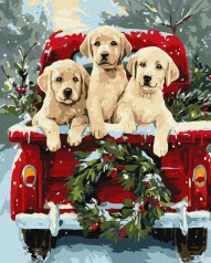 Набір для розпису по номерах Ideyka 