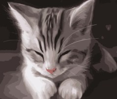 Набір для розпису по номерах Сонне кошеня Strateg розміром 40х50 см (DY191)