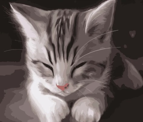 Набір для розпису по номерах Сонне кошеня Strateg розміром 40х50 см (DY191)