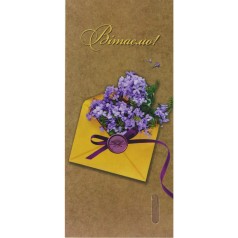 Конверт для денег Подарочный, 19,5 х 9 см