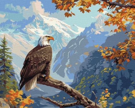 Набір для розпису по номерах 