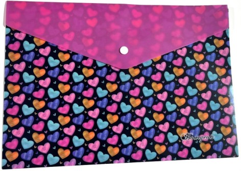 Папка з кнопкою А4+ Р0202