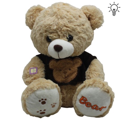 Мишка Антошка в коричневому