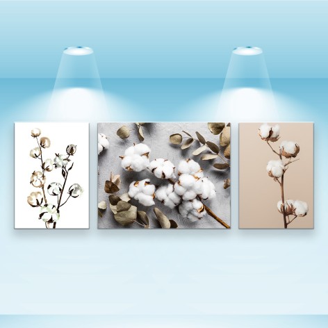 Набір постерів Riviera Blanca "Бавовна" 3 шт на полотні 40x28 см (PS-035)