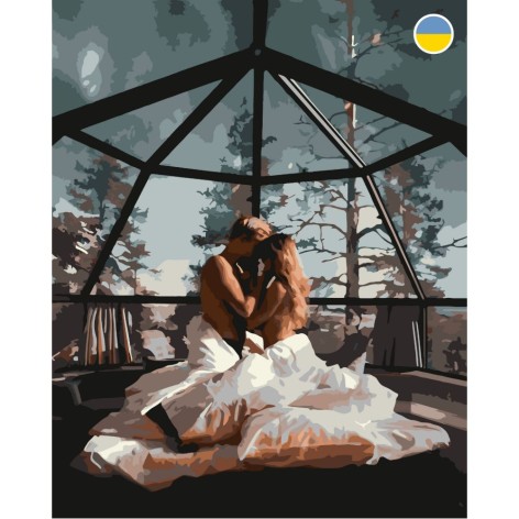 Картина по номерам Пара под ночным небом 40*50 см Оригами LW 3169