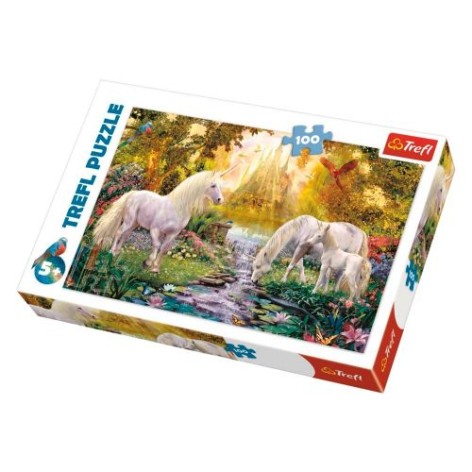 Пазлы – (100 элм.) – 