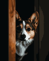 Картина за номерами Strateg "Коргі на чорному фоні" 40х50см AH1294