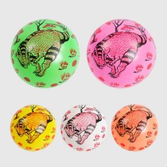 М'яч гумовий 5 кольорів 