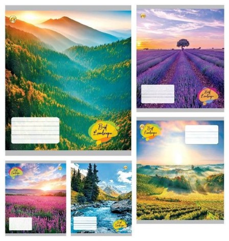 Тетрадь 24 арк.клітинка Тверда ТЕ41303 Краєвиді, 20 шт. в уп. /320/ 5к.