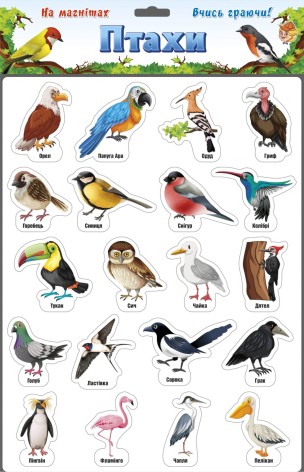 Ігри на магнітах 