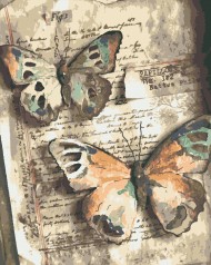 Картини за номерами Паперові метелики (40x50) (RB-0727)