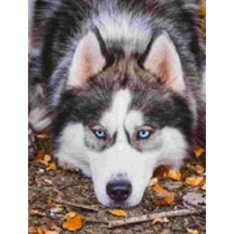 Алмазная мозаика по номерам 30*40 