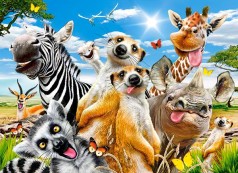 Кастор пазли 200 