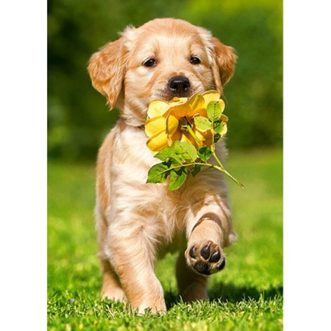 Алмазная мозаика, без подрамника 