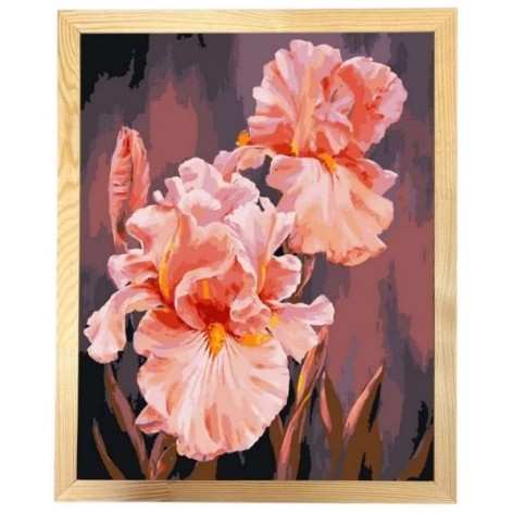 Картина за номерами з багетною рамкою 