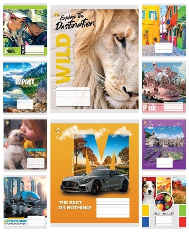 Тетрадь 24 арк.клітинка Тверда ТЕ41305 Мікс 5, 20 шт. в уп. 