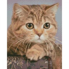 Набір для творчості алмазна картина Зосереджений погляд Strateg розміром 30х40 см (HX467)