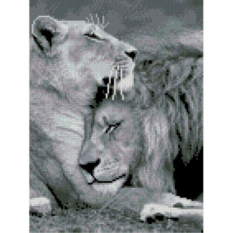 Алмазна картина HX104 "Велика ніжність", розміром 30х40 см