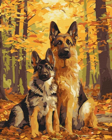 Набір для розпису по номерах Ideyka 