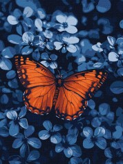 Набір для розпису по номерах Ideyka 