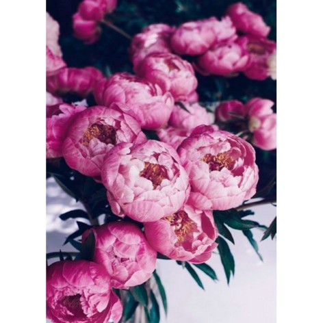 Алмазная мозаика, без подрамника 