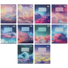 Набір шкільних зошитів Zibi 